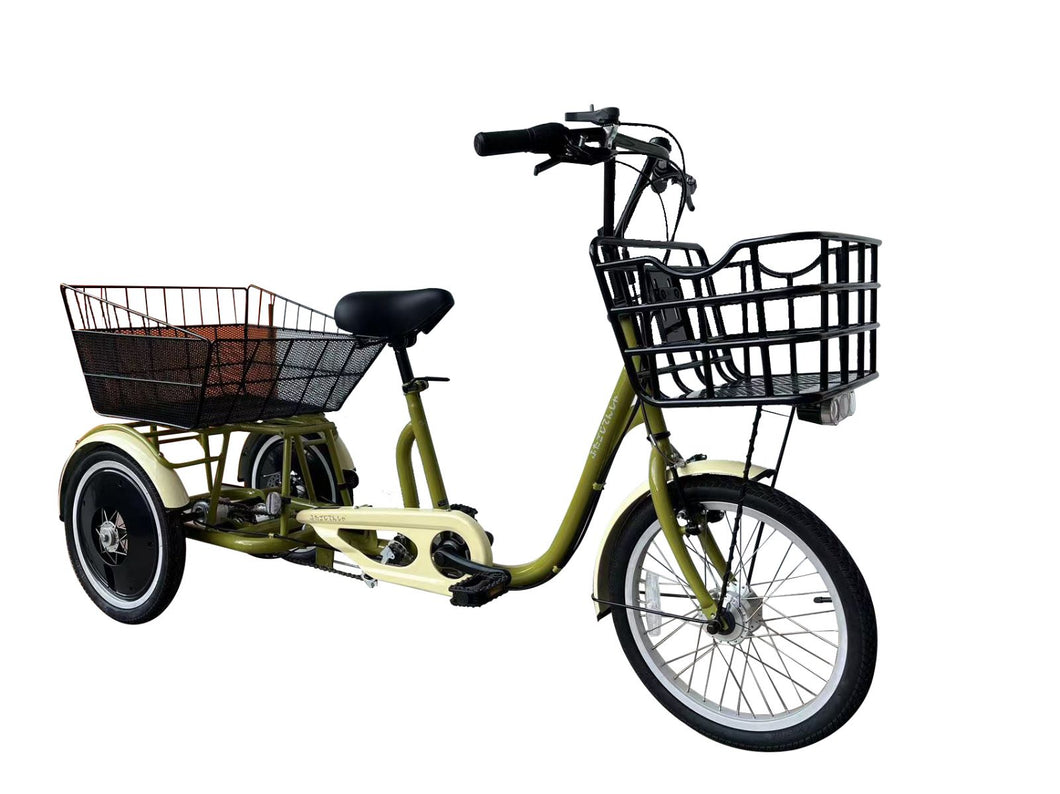 Japan OEM Inter 3 Tricycle (Japan standard)