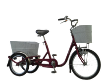 Load image into Gallery viewer, V-Tec Tricycle Standard